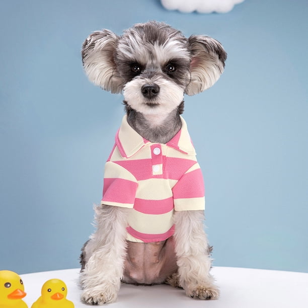 Ropa Para Perros Nuevas Rayas De Verano Dos Patas Ositos De Peluche Pomeranian Fighting Cat Delgada Para Mascotas