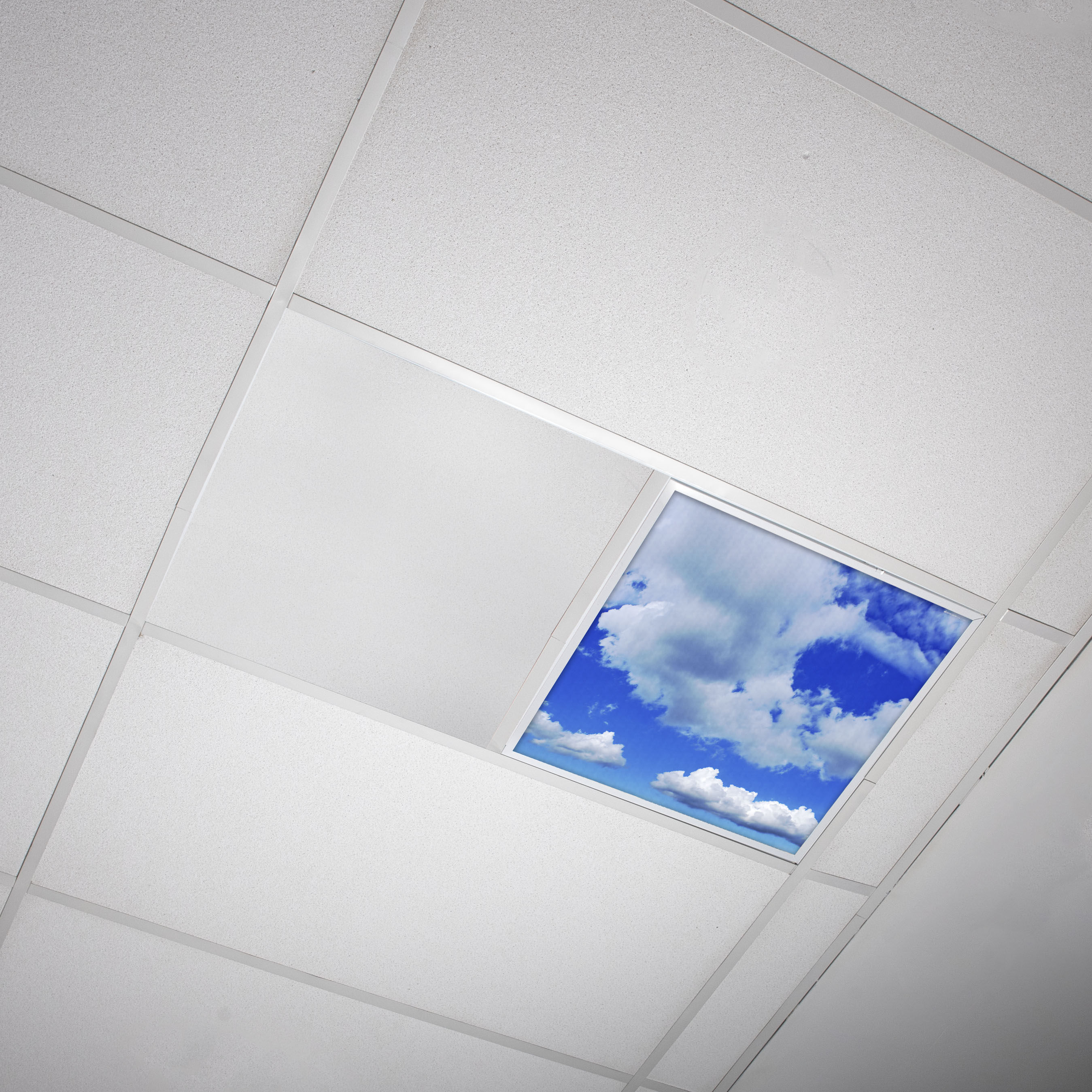 Octo Lights - Fluorescent Light Covers - 2x2 Flexible ...