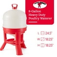 thumbnail image 3 of Little Giant 8 Gallon Tank Heavy Duty Poultry Gravity Waterer (4 Pack), 3 of 12
