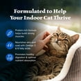 thumbnail image 4 of (Pack Of 4) Blue Buffalo Food Cat Adult Chicken Indoor 4 Lb, 4 of 7