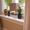 thumbnail image 6 of CLAWGUARD Clear Plexiglass Window Sill Protector for Dogs and Cats, Window Ledge Cover with Adhesive Mount Tabs, 29.5 x 2.25 in, 6 of 9