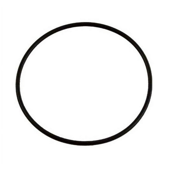 Zodiac R0374500 Energy Filter "O" Ring Replacement Kit for Zodiac Jandy