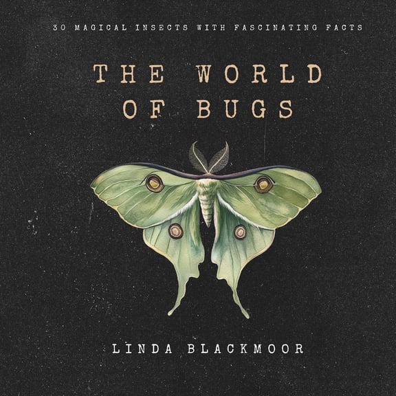 The World of Bugs, (Paperback)