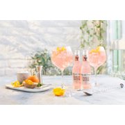 A Curated Collection of Premium Mixers