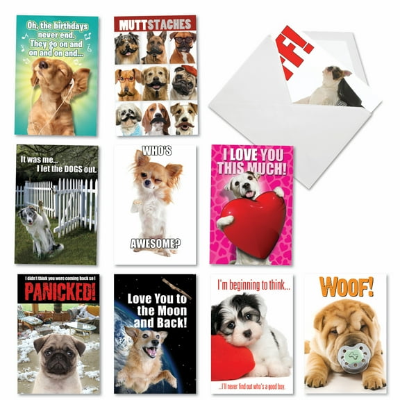 10 Pack Birthday Cards With Envelopes - Petigreet Dogs