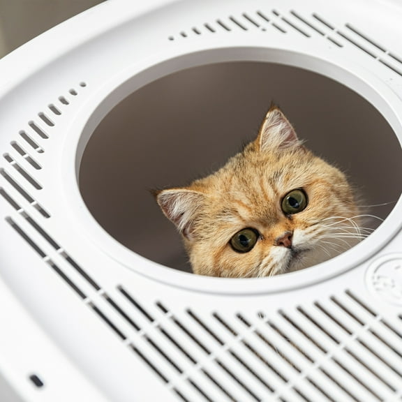 Extra Large Cat Litter Box with Scoop, Front Entry and Top Exit, Litter Mat Included