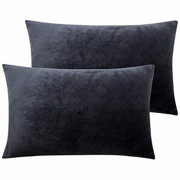 Quyaojz 2 Pack Zippered Velvet Standard Pillowcases, Super Soft and Cozy Luxury Fuzzy Flannel Pillow Cases with Zipper, 50x75 cm, Charcoal Grey