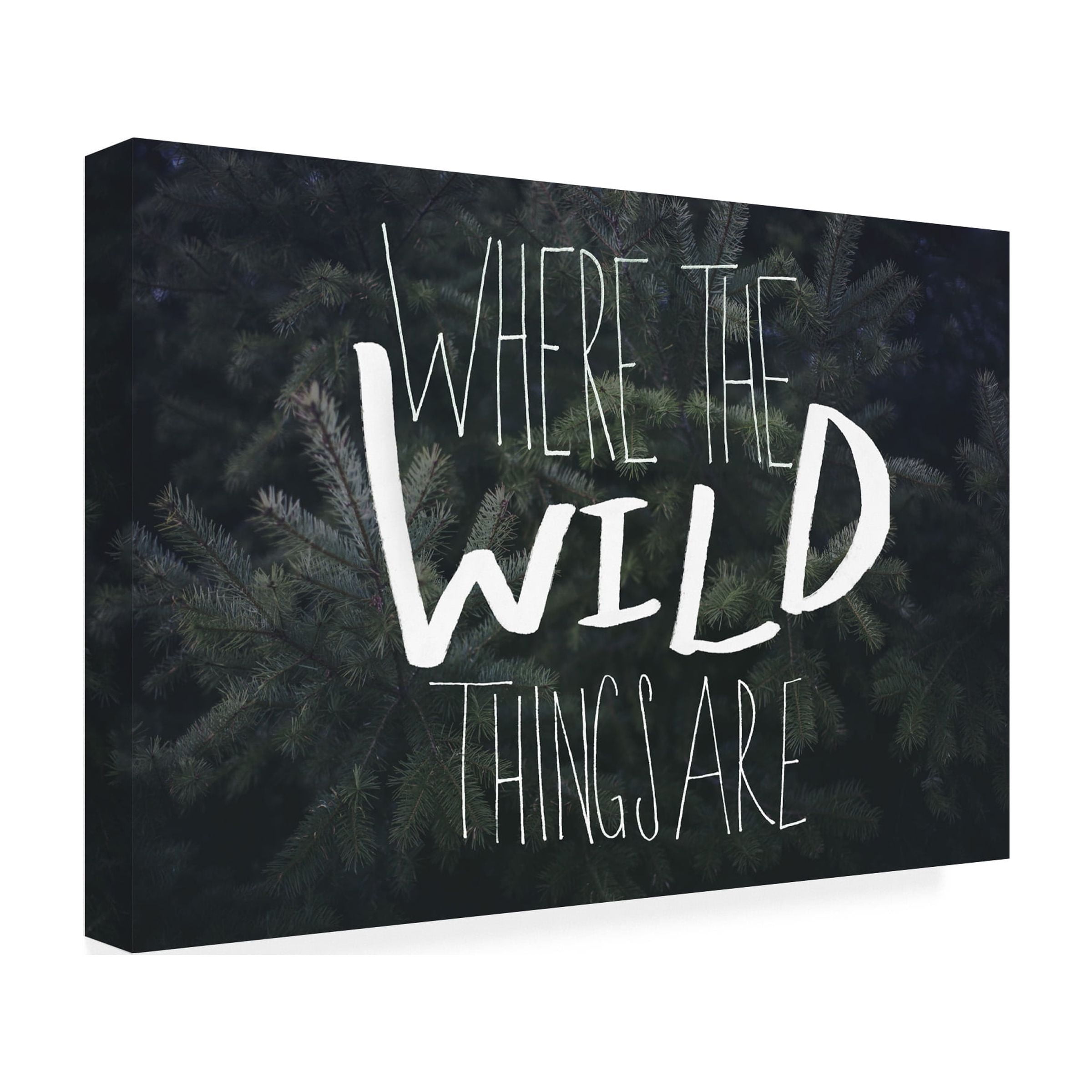 Trademark Fine Art "Where the Wild Things Are" Canvas Art by Leah Flores