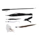 thumbnail image 5 of Palo De Gato Divertido, Juguete De Pluma De Gato Elástico Retráctil Para Interior Para Gatito ANGGREK Otros, 5 of 8