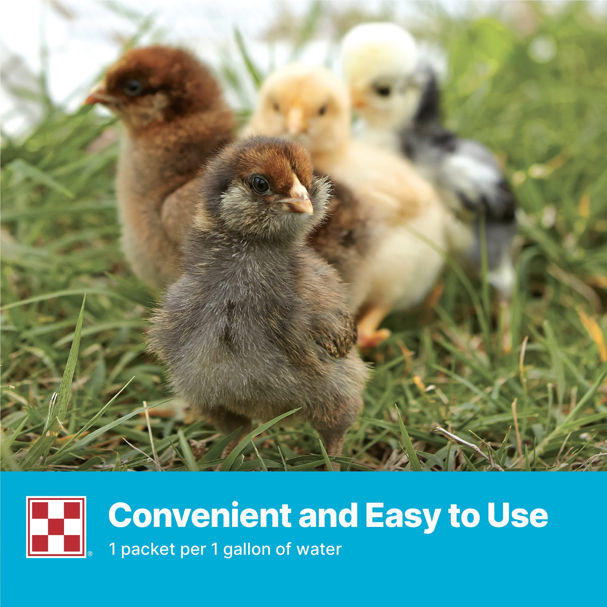 Purina® Electrolyte & Antioxidant Supplement for Poultry