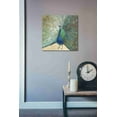 thumbnail image 3 of Epic Graffiti  "Blue Peacock" by Danhui Nai, Giclee Canvas Wall Art - 18" x 18", 3 of 3