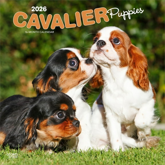 Cavalier King Charles Spaniel Puppies | 2026 12x24" Wall Calendar | Plastic-Free