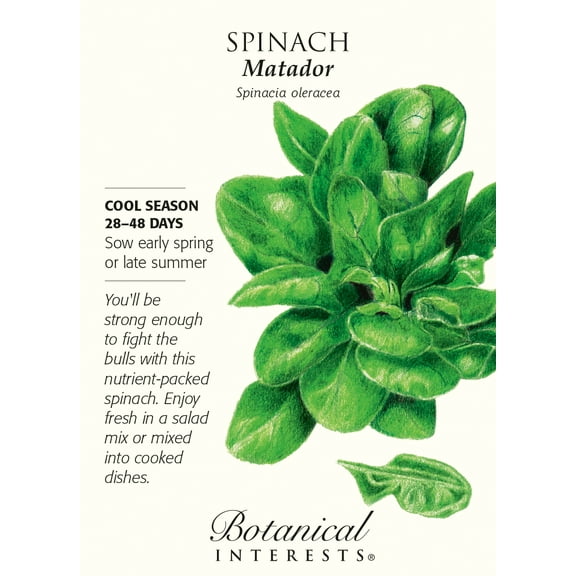 Matador Spinach Seeds - 3 grams