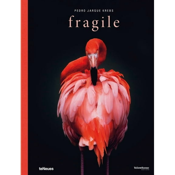 Fragile (Hardcover)