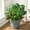 Green, variant on Yastouay 10Pcs Fake Plants,Realistic Artificial Greenery for Outdoors,UV Resistant Artificial Ferns for Outdoors Front Porch Decor