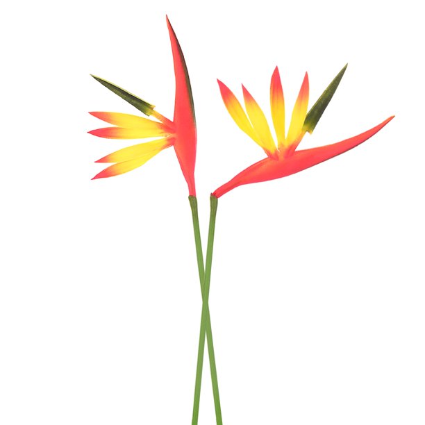Uxcell 2-Pack Flores Artificiales de Ave del Paraíso Verde Amarillo, 22 Pulgadas Ramos de Ave del Paraíso Falsos Toque Real para Hogar/Boda
