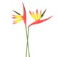 thumbnail image 1 of Uxcell 2-Pack Flores Artificiales de Ave del Paraíso Verde Amarillo, 22 Pulgadas Ramos de Ave del Paraíso Falsos Toque Real para Hogar/Boda, 1 of 7