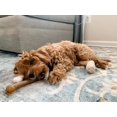 thumbnail image 2 of Huesito de juguete masticable sabor pollo para perro, 2 of 9