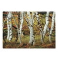 thumbnail image 1 of Fall Cutting Board, White Birch Trees Autumn Leaves Growth Wilderness Ecology Calm Serene View Print, Decorative Tempered Glass Cutting and Serving Board, Large Size, Multicolor, by Ambesonne, 1 of 1
