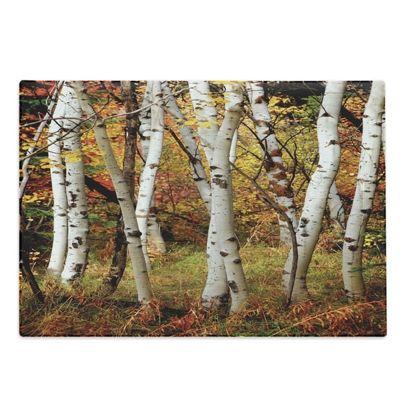 Fall Cutting Board, White Birch Trees Autumn Leaves Growth Wilderness Ecology Calm Serene View Print, Decorative Tempered Glass Cutting and Serving Board, Large Size, Multicolor, by Ambesonne