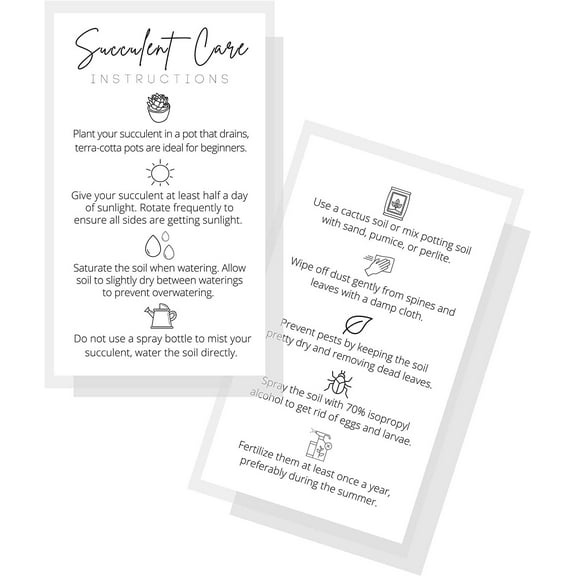 Succulent Care Instruction Cards  Physical Printed 2" x 3.5" inches Business Card Size  Plant Care  White and Black Design