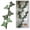 6 Ivy Leaves, 1 Stem, variant on Magnetic Ivy for Fridge, English Ivy Fridge Magnet with Articulating Stems, 3D Printed Plant, Realistic Leaf Magnet, Premium Eco-Friendly PLA Material