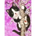 thumbnail image 1 of 30x40cm Adultos Niños 5d Diy Diamant Art Peinture Kit - Arbre Escalade Kitty, Plein Diamant Broderie Artisanat, Cristal Toile Strass Peinture Kit, 1 of 5