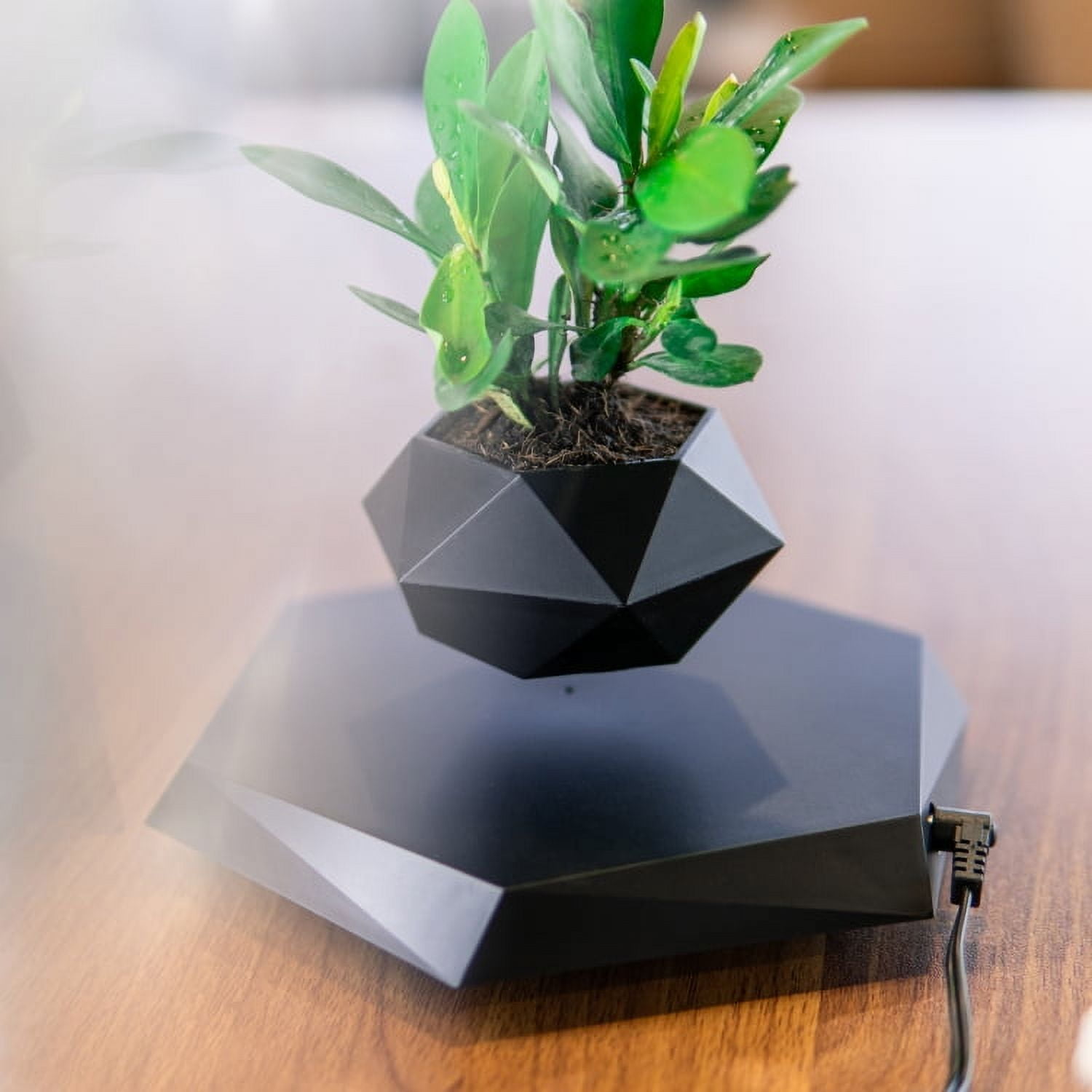 Dwellnix Smart Levitating Flower Plant Pot Home Decor Hovering Floating Magnic Plant Pot