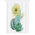 thumbnail image 1 of Cactus Stall Shower Curtain, Vector Image with Watercolored Cactus with Spikes and Alluring Flowers Print, Fabric Bathroom Set with Hooks, 54W X 78L Inches, Blue and White, by Ambesonne, 1 of 1