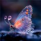 thumbnail image 2 of 5D DIY Taladro Diamante Pintura Mariposa Kit Del Arte 30x30cm, 2 of 9