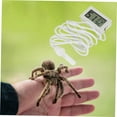 thumbnail image 3 of Generic 5pcs Hygrometer Mini Indoor Humidity with Character Display Material Refreshes Every Seconds for, 3 of 8