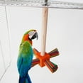 thumbnail image 6 of Birds Parrot Perch Portable Tabletop Bird Perch for Canaries Budgies Finches Colorful, 6 of 8