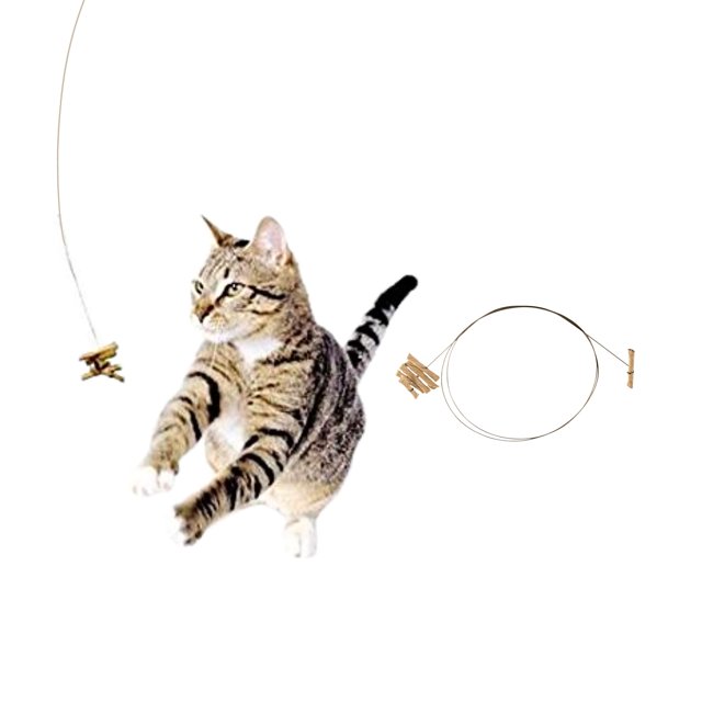 Cat Dancer El Original Juguete Interactivo De Acción Para Gatitos Razas Pequeñas