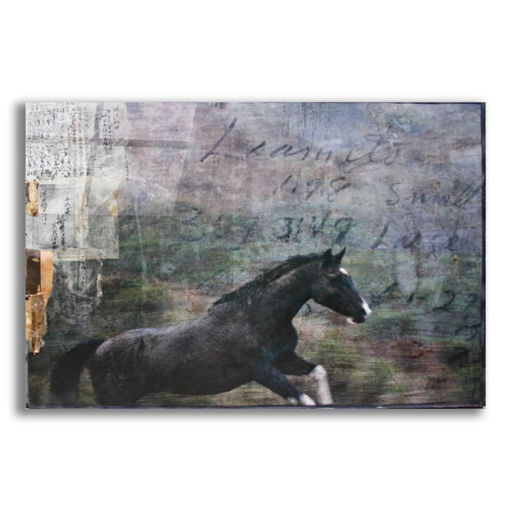 Epic Art 'Dogie' by Susan Friedman, Acrylic Glass Wall Art, 24"x16"