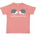 thumbnail image 3 of Inktastic Twin Hedgehogs Baby Gift Boys or Girls Toddler T-Shirt, 3 of 5