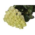thumbnail image 2 of KaBloom: 25 White Roses, Next-Day Delivery, Gift for Every Occasion., 2 of 5