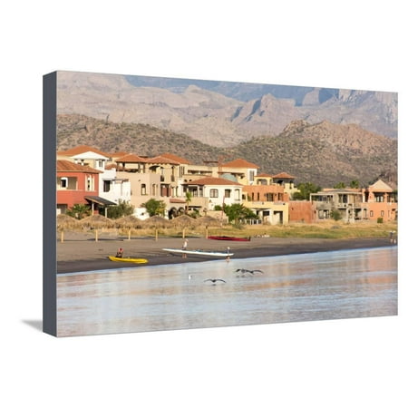 Mexico, Baja California Sur, Sea of Cortez. Early morning activity on beach Stretched Canvas Print Wall Art By Trish (Best Beaches Sea Of Cortez)