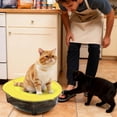 thumbnail image 3 of Cat Litter Box Set, Removable Anti-Splash Odor Control Litter Pan for Small, Medium, Large Pets, Indoor, Travel, Car, Household, 3 of 12