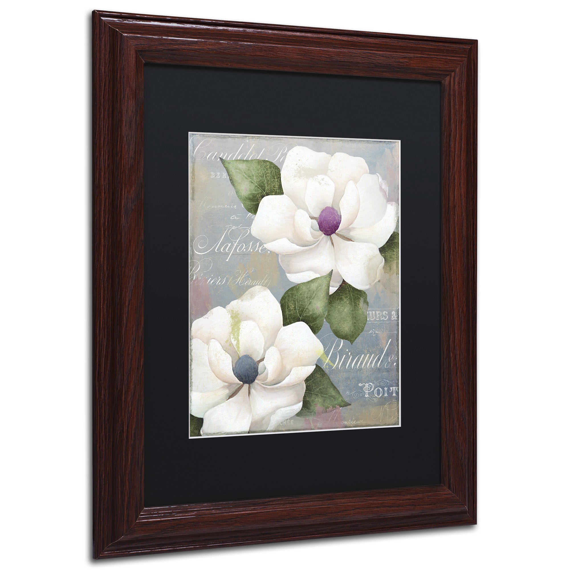 Trademark Fine Art "Southern Charms" Canvas Art by Color Bakery Black Matte, Wood Frame