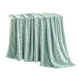 thumbnail image 3 of Boovnll Throw Blanket - Super Cozy Soft Solid Color Velvet Microfiber Blankets for Home Living Room Office Sofa Couch, Blanket - 40x60", Light Blue, 3 of 9