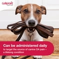 thumbnail image 3 of Galliprant Osteoarthritis Pain & Inflammation Control for Dogs | 20mg | 90 Flavored Tablets, 3 of 13