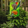thumbnail image 2 of Carolines Treasures BB1977GF Wirehaired Dachshund St. Patricks Day Flag Garden, 2 of 2
