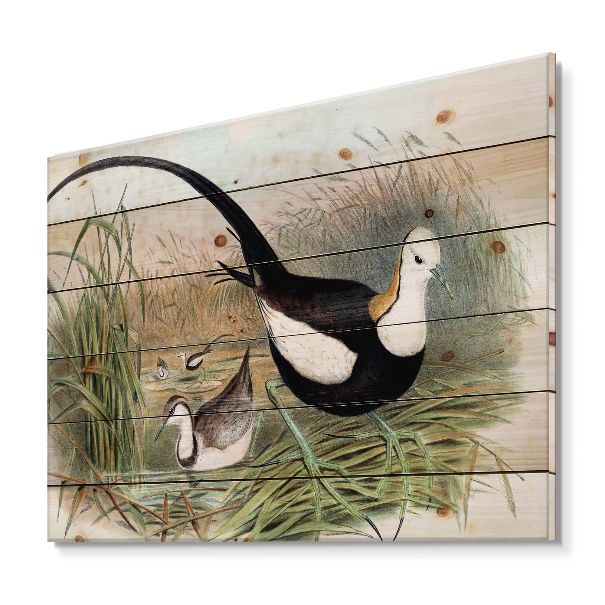 Designart 'Vintage Countryside Birds In Lake' Farmhouse Print on Natural Pine Wood