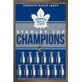thumbnail image 1 of Maple Leafs de Toronto de la LNH - Champions 23, 1 of 4