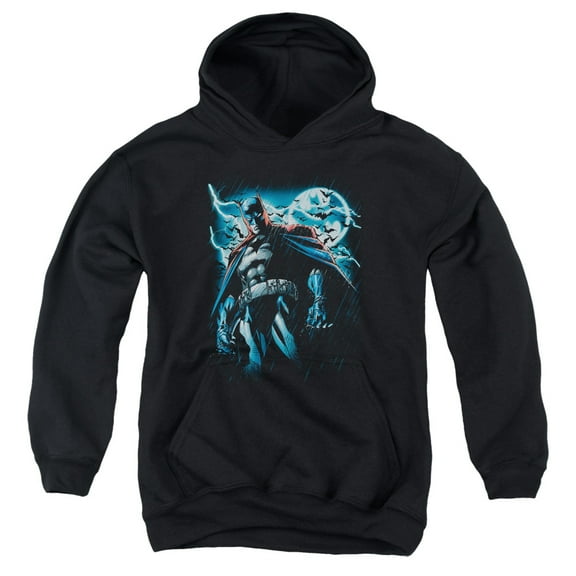 Batman - Stormy Knight - Youth Hooded Sweatshirt - Small