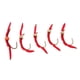 thumbnail image 2 of 5Pcs en un Red Atado de Trucha Zulema pesca con mosca, 2 of 6
