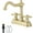 Brushed Gold, variant on Bathroom Faucet Antique Brass 2 Handles 4 Inches Centerset Bathroom Vanity with Drain Assembly and Supply Hose Lavatory Faucet Mixer Double Handle Tap
