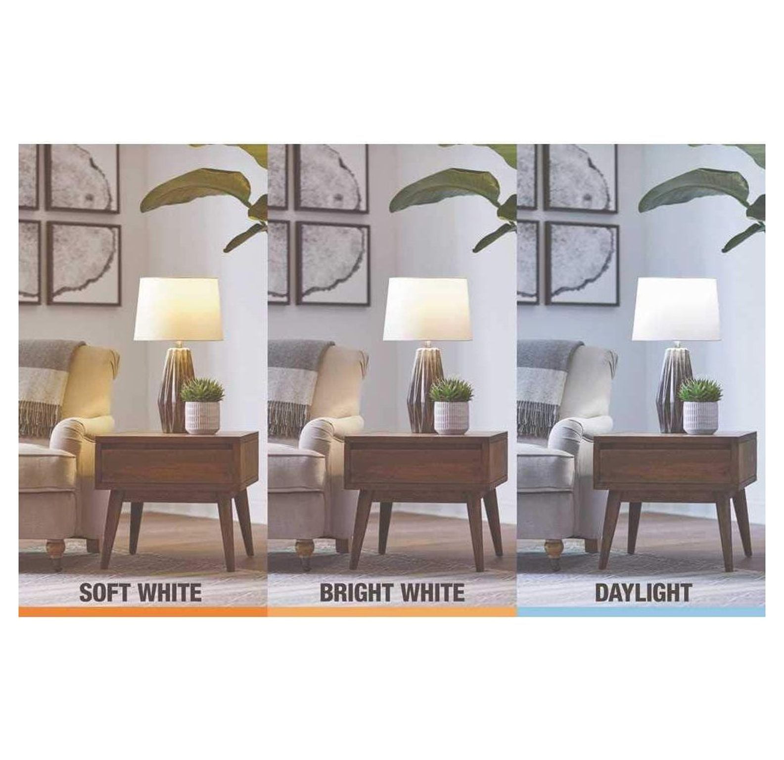 EcoSmart 75-Watt Equivalent BR20 Dimmable LED Light Bulb Soft White (6-Pack)