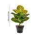 thumbnail image 3 of Artificial Potted Plants With Pot PVC Fake Tropical Plants Realistic Faux Plants For Home Office House Desk Shelf Living Room Kitchen Decoration, 3 of 6