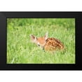 thumbnail image 2 of Aledanda 18x13 Black Modern Framed Museum Art Print Titled - A Fawn, 2 of 5